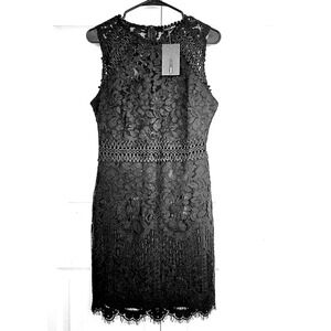 Fashion Nova Black Lace Mini Dress